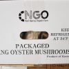 8. [TI] KING OYSTER MUSHROOM (300G*15)
